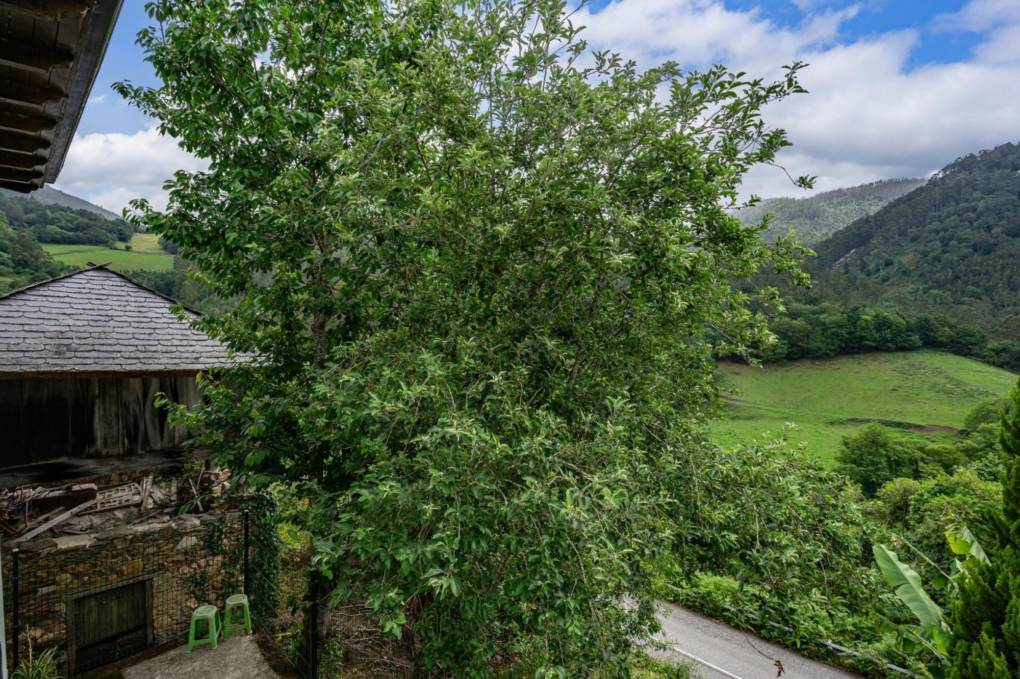 Maseda 1 Villa Villayón Exterior foto